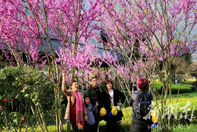 1525920605824919.jpg 2.jpg